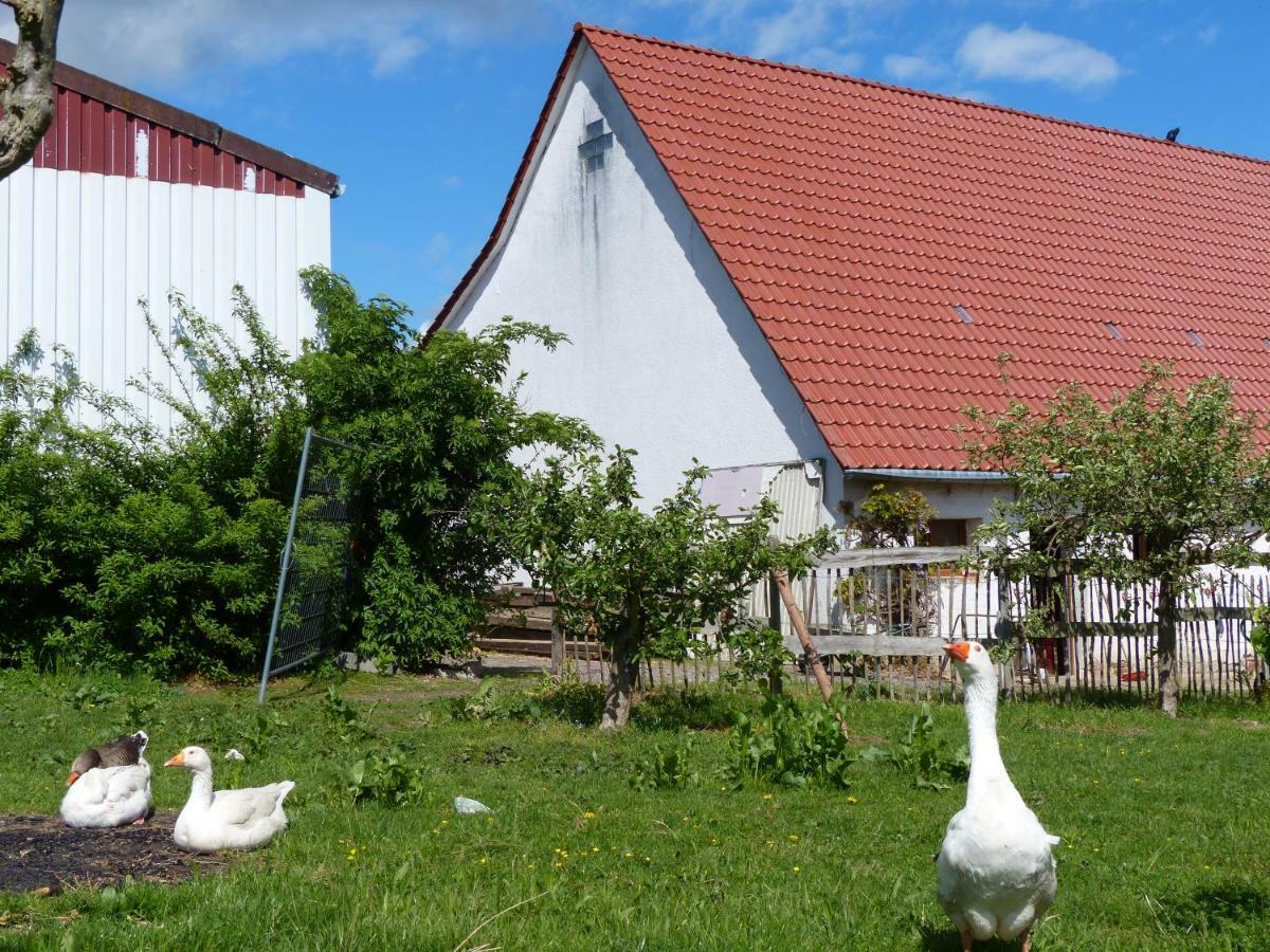 Die Gefaehrten Oberhausen  Экстерьер фото